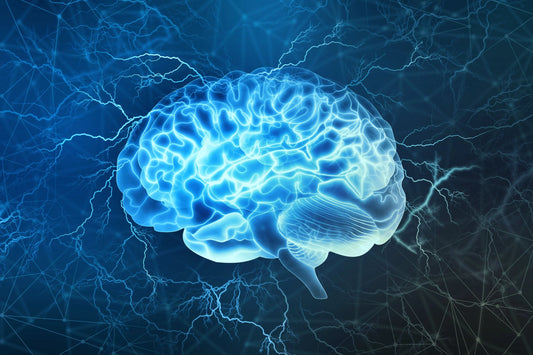 How do I take Nootropics?