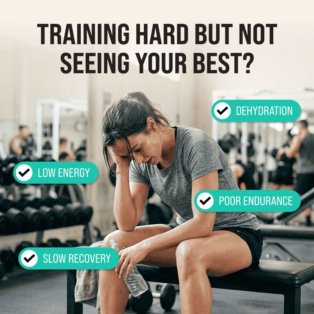 The Hybrid Performance Bundle