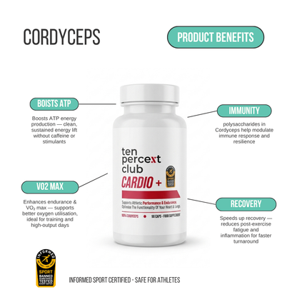 The Complete Wellbeing Stack
