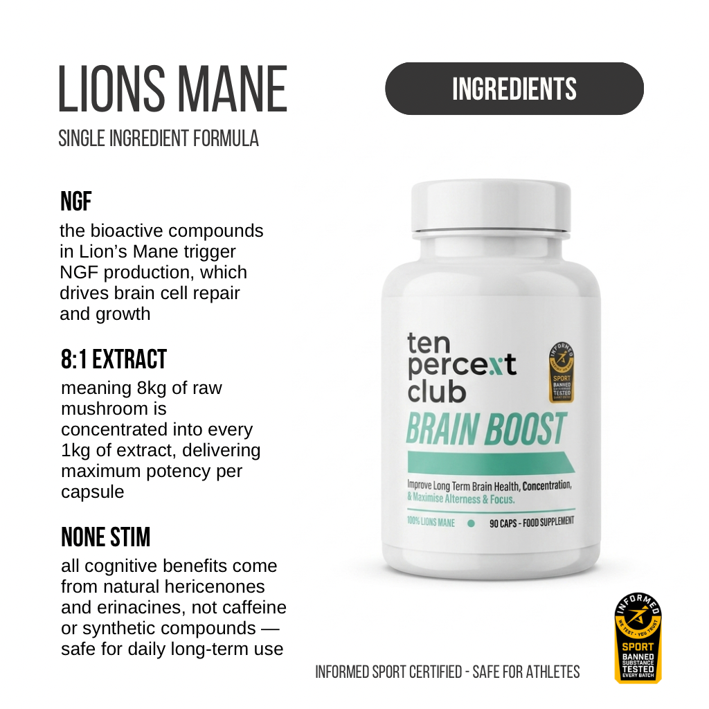Brain Boost - Lions Mane