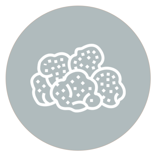 Lions Mane Icon
